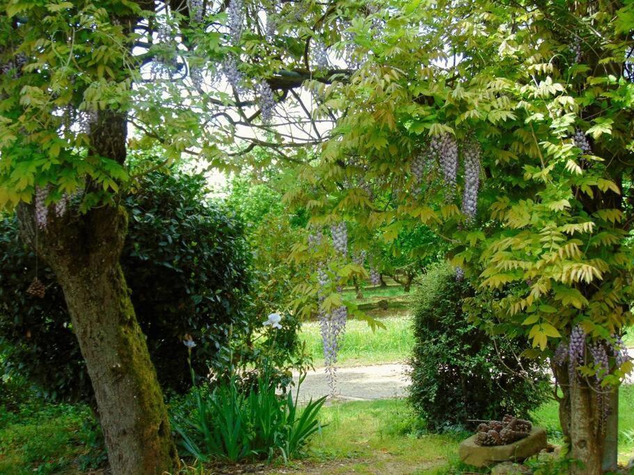 Ferienhaus Mirathe Baleyssagues